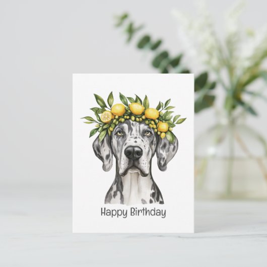 Happy Birthday Merle Great Dane Dog Lemon Crown Postkarte (Stehend Vorderseite)