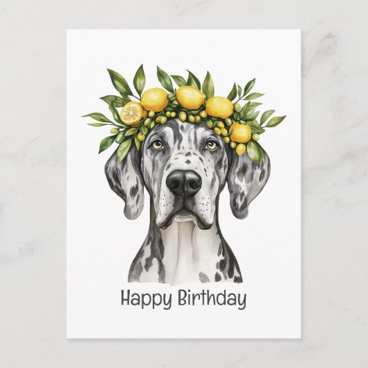 Happy Birthday Merle Great Dane Dog Lemon Crown Postkarte (Vorderseite)