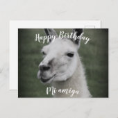 Happy Birthday "Mi Amiga" Lama Postkarte (Vorne/Hinten)