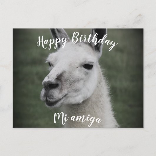 Happy Birthday "Mi Amiga" Lama Postkarte (Vorderseite)