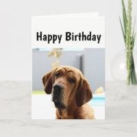 Happy Birthday Mittelalter über den Hügel Spaß Hun