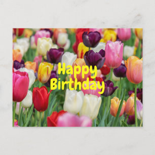 Happy Birthday Mixed Color Tulip Blume Postkarte
