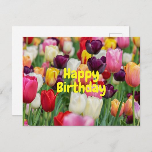 Happy Birthday Mixed Color Tulip Blume Postkarte (Vorne/Hinten)