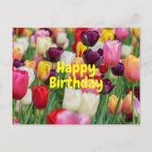 Happy Birthday Mixed Color Tulip Blume Postkarte (Vorderseite)
