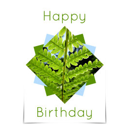 "Happy Birthday" Modern Geometric Fern Card Karte