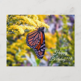 Happy Birthday Monarch Butterfly Postcard Postkarte