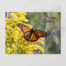 Happy Birthday Monarch Butterfly Postcard Postkarte
