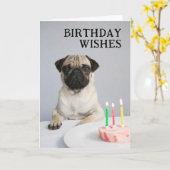 Happy Birthday Mops Karte (Gelbe Blume)