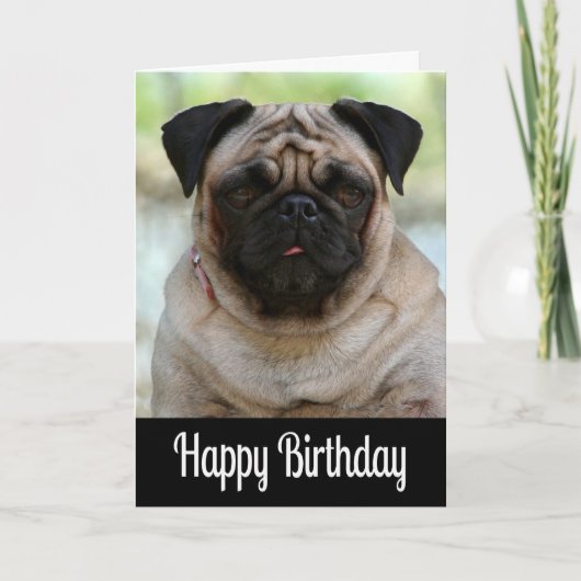 Happy Birthday Mops Puppy Dog Black Grußkarte Karte (Vorderseite)