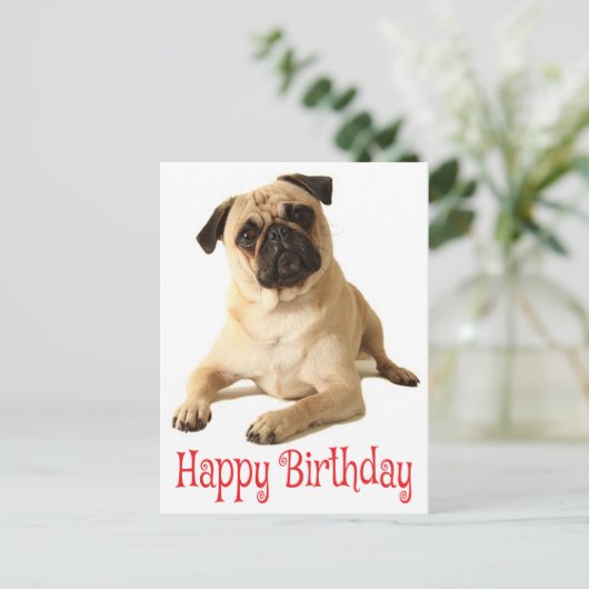 Happy Birthday Mops Puppy Dog Postkarte (Stehend Vorderseite)