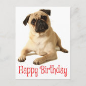 Happy Birthday Mops Puppy Dog Postkarte (Vorderseite)