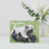 Happy Birthday Mops Puppy Dog Postkarte (Stehend Vorderseite)