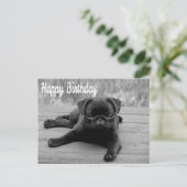 Happy Birthday Mops Puppy Dog Postkarte (Stehend Vorderseite)