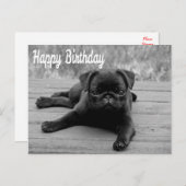 Happy Birthday Mops Puppy Dog Postkarte (Vorne/Hinten)