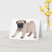 Happy Birthday Mops Puppy Dog - Verse Inside Karte (Gelbe Blume)