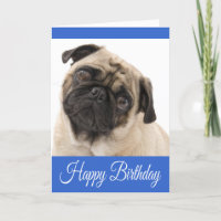Happy Birthday Mops Welpe Hund Blue Grußkarte