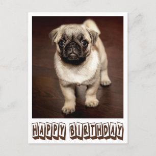 Happy Birthday Mops Welpe Hund braune Postkarte