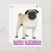 Happy Birthday Mops Welpe Hund Lila Postkarte (Vorne/Hinten)