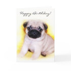 Happy Birthday Mops Welpengrüße