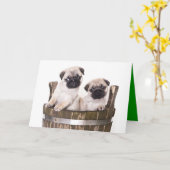 Happy Birthday Mops Welppy Dog Grußkarte - Verse Karte (Gelbe Blume)