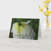 Happy Birthday My Darling White Poppy Card Karte (Gelbe Blume)