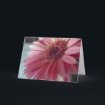 Happy Birthday My Friend Card Karte<br><div class="desc">Rosa Gerbera mit einer Geburtstagsbotschaft</div>