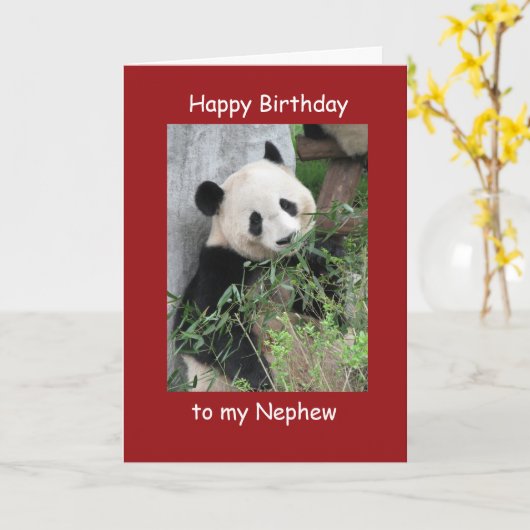Happy Birthday Nephew Grußkarte Giant Panda Karte (Gelbe Blume)