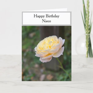 Happy Birthday Niece Pastel Yellow Roses Karte