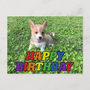 Happy Birthday Niedlich Corgi Puppy Foto Postkarte