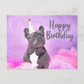 Happy Birthday Niedlich Funny French Bulldog Postkarte (Vorderseite)