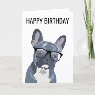 Happy Birthday Niedlich Hund   Blauer/Grauer Bulld Karte