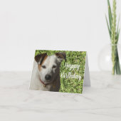 Happy Birthday Niedlich Hund Faltenkarte Karte (Vorderseite)