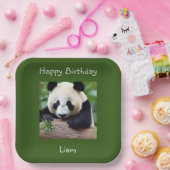 Happy Birthday Niedlich Panda Pappteller (Party)