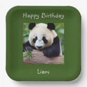 Happy Birthday Niedlich Panda Pappteller (Vorderseite)