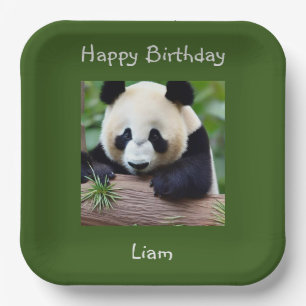 Happy Birthday Niedlich Panda Pappteller