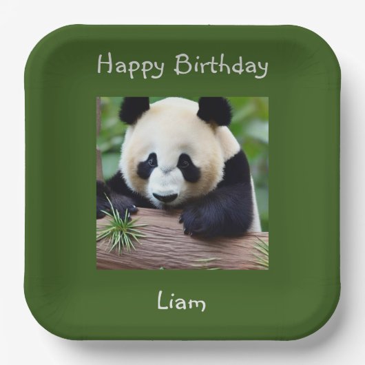 Happy Birthday Niedlich Panda Pappteller (Vorderseite)
