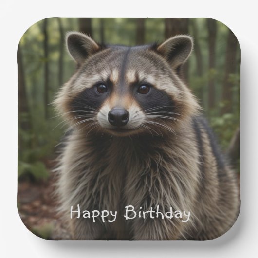 Happy Birthday Niedlich Raccoon Pappteller (Vorderseite)