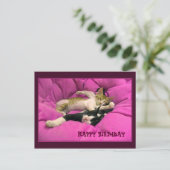 Happy Birthday niedliche Katzen Postkarte (Stehend Vorderseite)