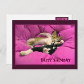 Happy Birthday niedliche Katzen Postkarte (Vorne/Hinten)