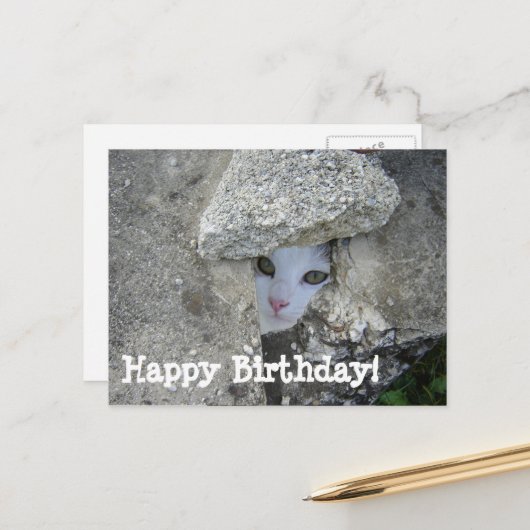 Happy Birthday Niedliche Katzenversteckung Postkarte (Vorderseite/Rückseite Beispiel)