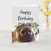 Happy Birthday NOSE Niedlich Hund Karte (Gelbe Blume)