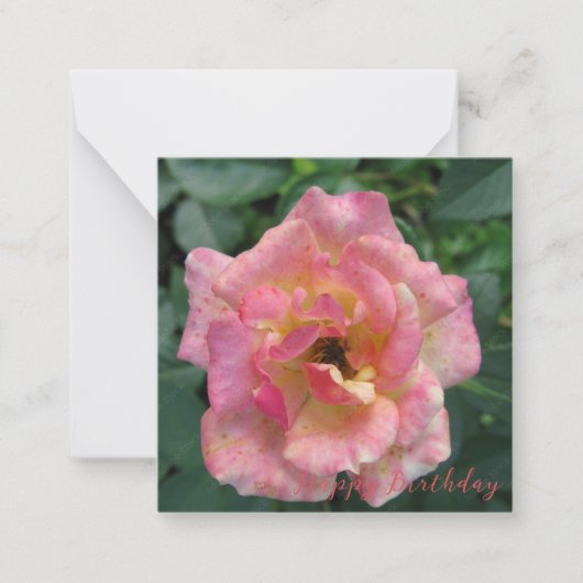 Happy Birthday Note Card Mitteilungskarte (Vorderseite)