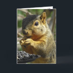 Happy Birthday Nutty Friend Funny Squirrel Karte<br><div class="desc">Alles Gute zum Geburtstag,  Freundschaft,  Humorvolles Eichhörnchen,  das die Geburtstagskarte isst. Der Text im Inneren kann bearbeitet werden,  um zu sagen,  was man möchte. Das ist eine tolle Karte für jemanden,  der Eichhörnchen Lieben!</div>