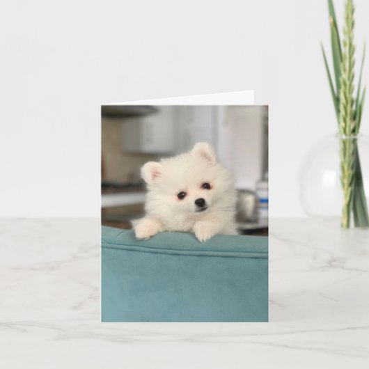 Happy Birthday/ One Adorable Critter to Another Karte (Vorderseite)