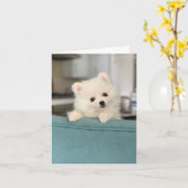 Happy Birthday/ One Adorable Critter to Another Karte (Gelbe Blume)