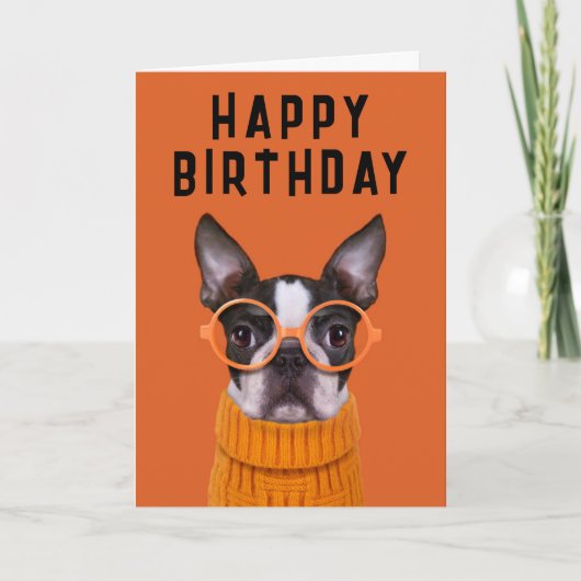 Happy Birthday | Orange Boston Terrier Karte (Vorderseite)
