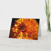 "Happy Birthday" Orange Chrysanthemum Card Karte (Vorderseite)