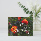 Happy Birthday Orange Red Trailing Lantana #1 Post Postkarte (Stehend Vorderseite)