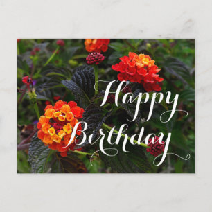 Happy Birthday Orange Red Trailing Lantana #1 Post Postkarte