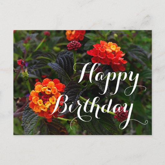 Happy Birthday Orange Red Trailing Lantana #1 Post Postkarte (Vorderseite)